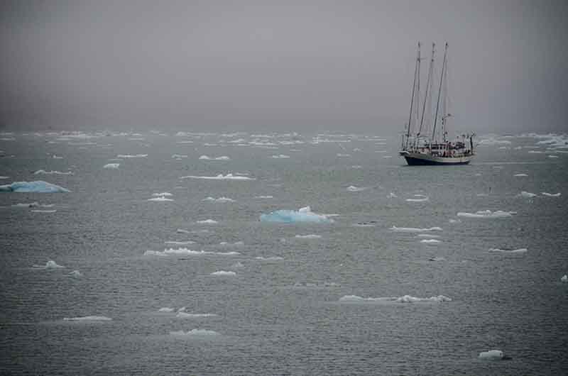 80 - Noruega - islas Svalbard - isla de Spitsbergen - fiordo Kongsfjorden